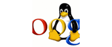 Google Easter Egg's czyli coś z humorem...