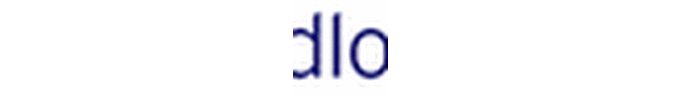 Zakupy OnLine w systemie ratalnym