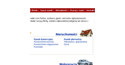 Agora straciła na Trader.com
